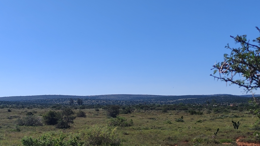 0 Bedroom Property for Sale in Somerset East Rural Eastern Cape